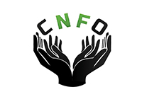Coalition des Noir.e.s francophones de l'Ontario (CNFO)