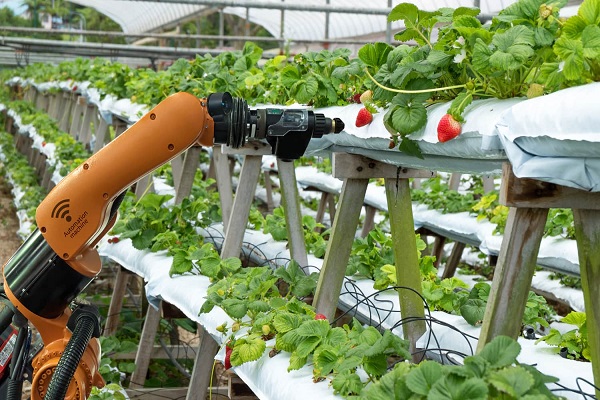 Food Technology Services